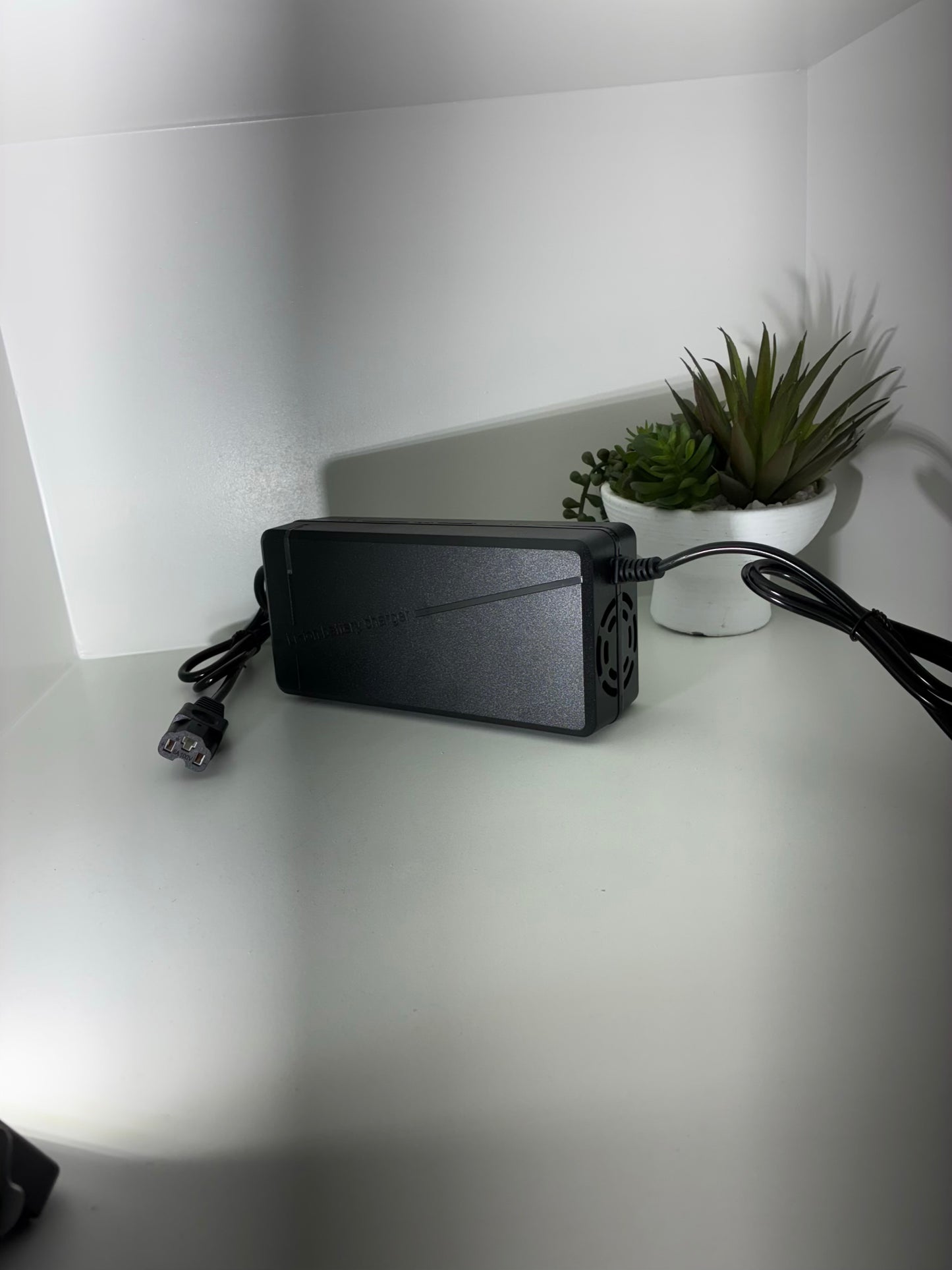 Tuttio Fast charger (48v charger)