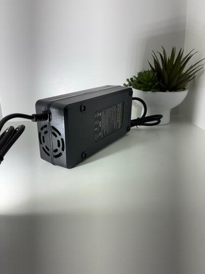 Tuttio Fast charger (48v charger)
